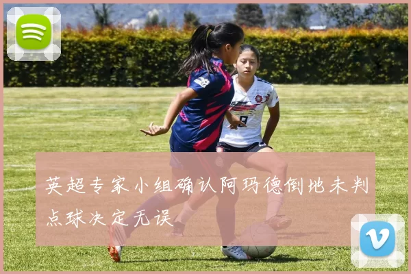 英超专家小组确认阿玛德倒地未判点球决定无误